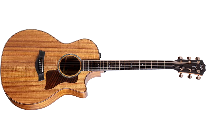 PJ guitar’s pj1000OMCE★美品 エレアコ Taylor系 PJ guitar's pj1000OMCE☆美品 エレアコ 木目 Taylor PJ guitar's